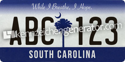 Kennzeichen South Carolina USA